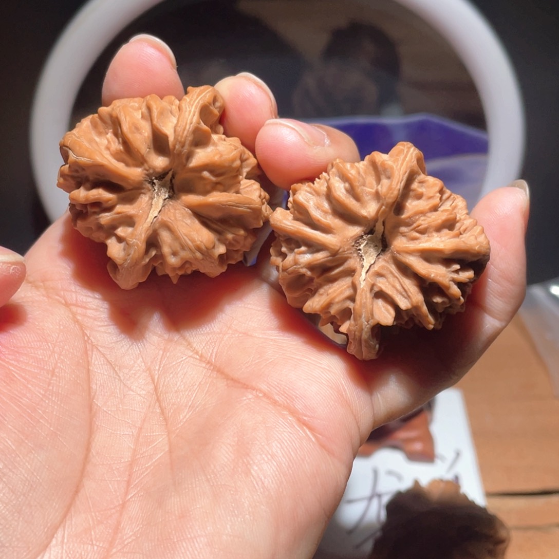 鸡*头S062 40尺大龙