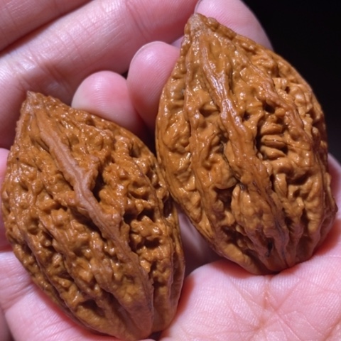 把件文玩核桃东北野生楸子小园 129