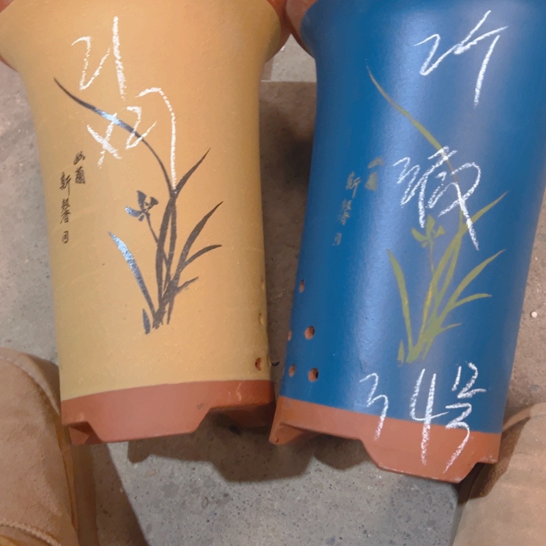 紫砂34……………………………………
