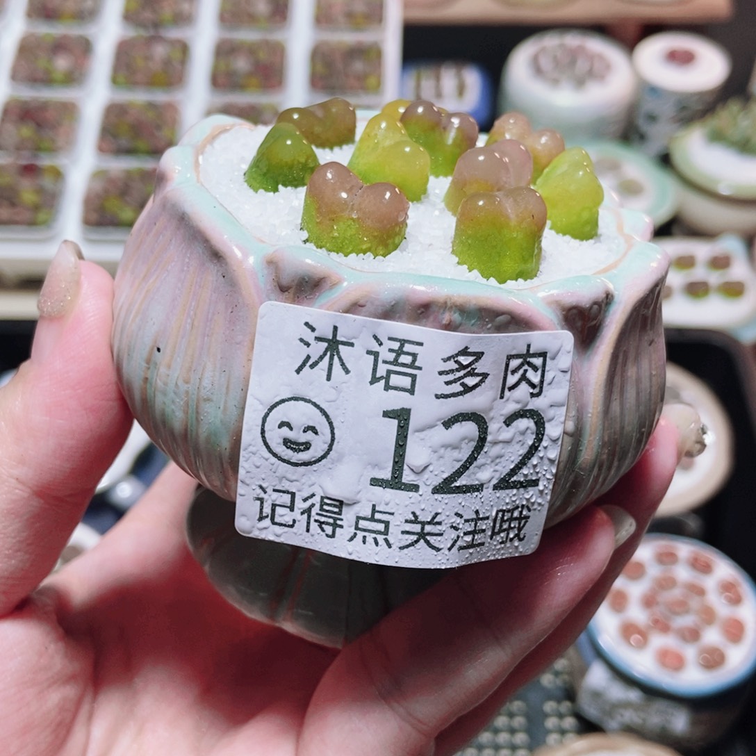 一物一拍 所见即所得 122