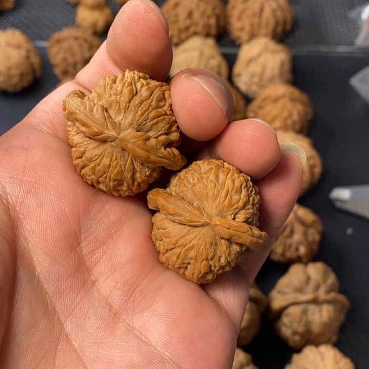 H***z把件桃核3577435788