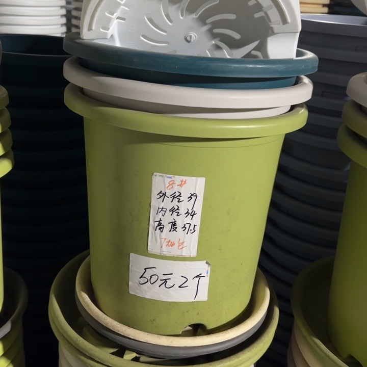 微瑕8#口径39无托果绿3个