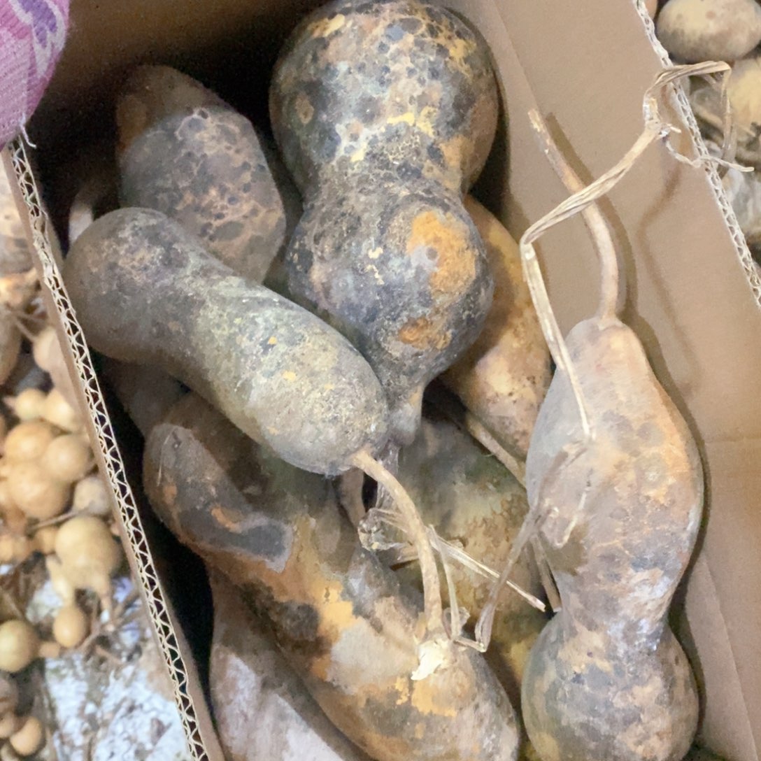 暴**族文玩葫芦画皮葫芦