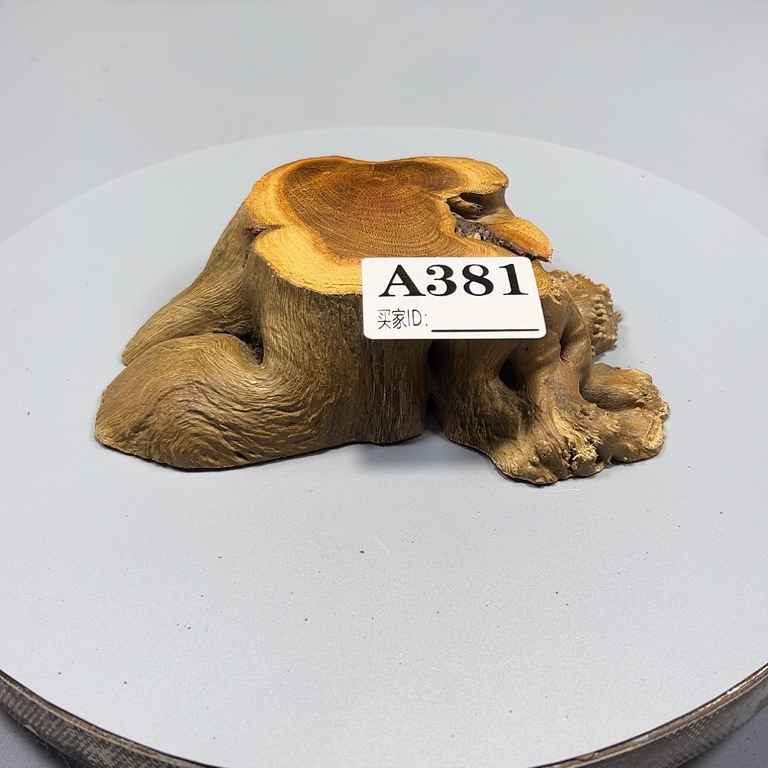 大果紫檀（缅甸花梨）善**敌