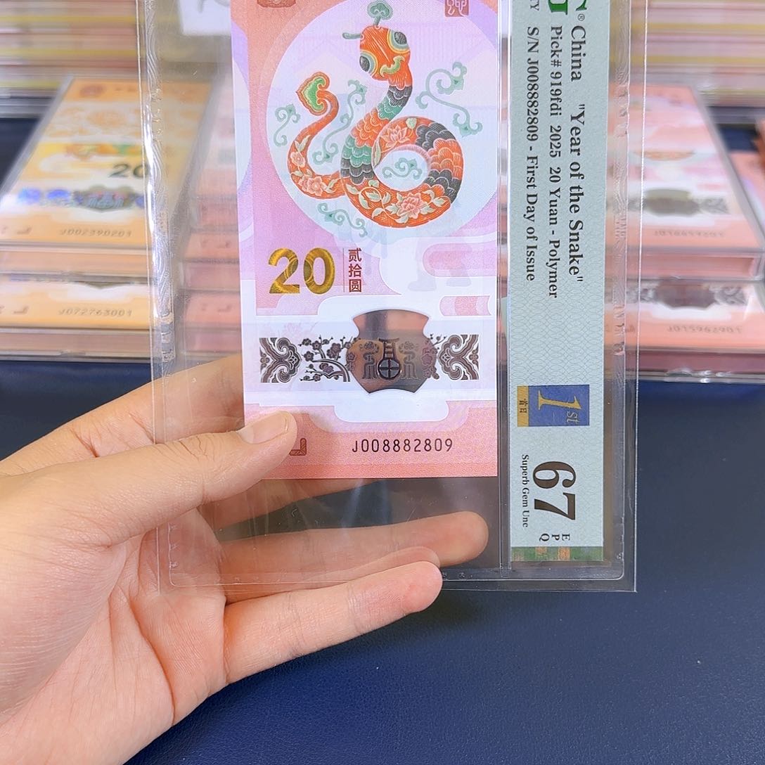 塑料蛇钞龙珠王008882809单张