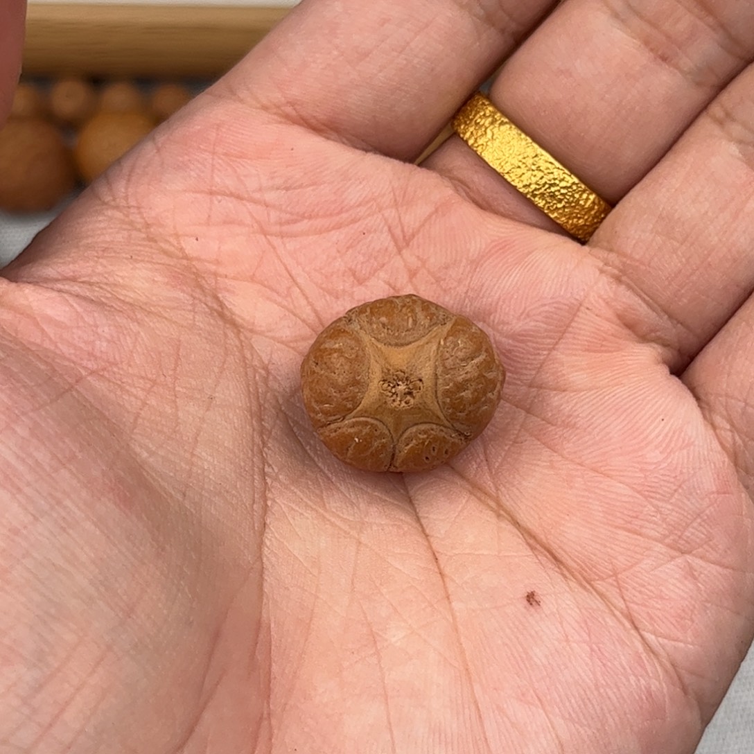 吊坠凤眼菩提五星19.3x13.3