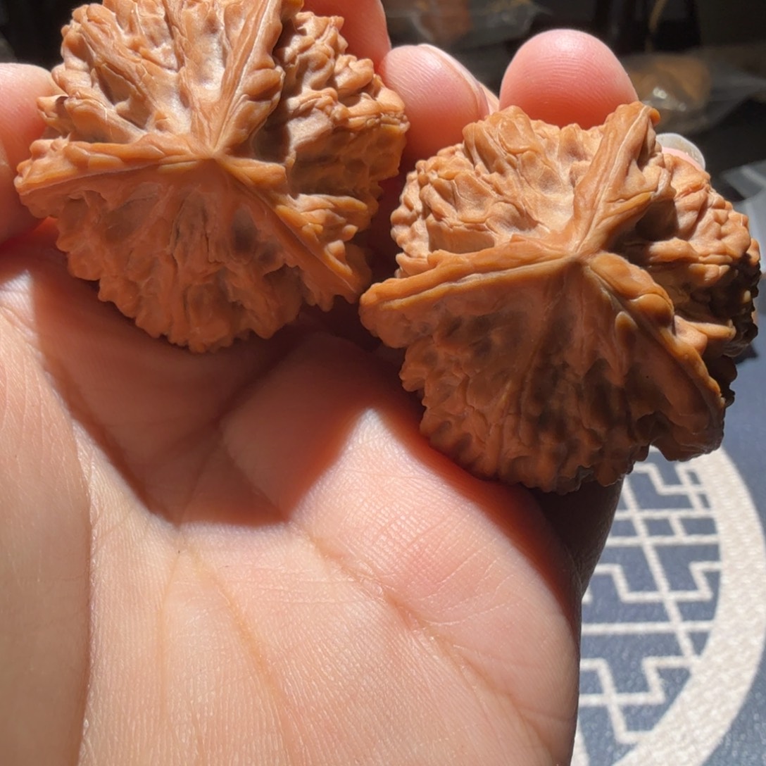 文玩核桃把件御龙正奔