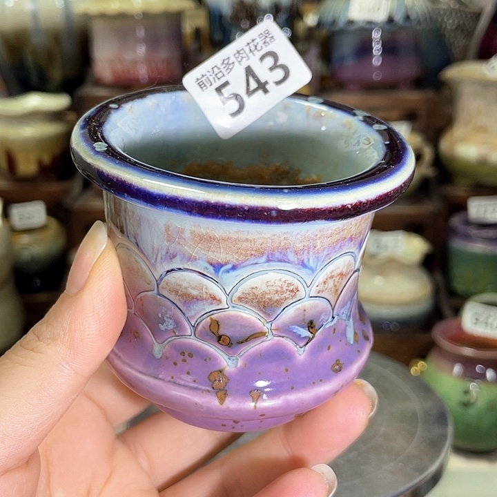 红陶内口径6高度6