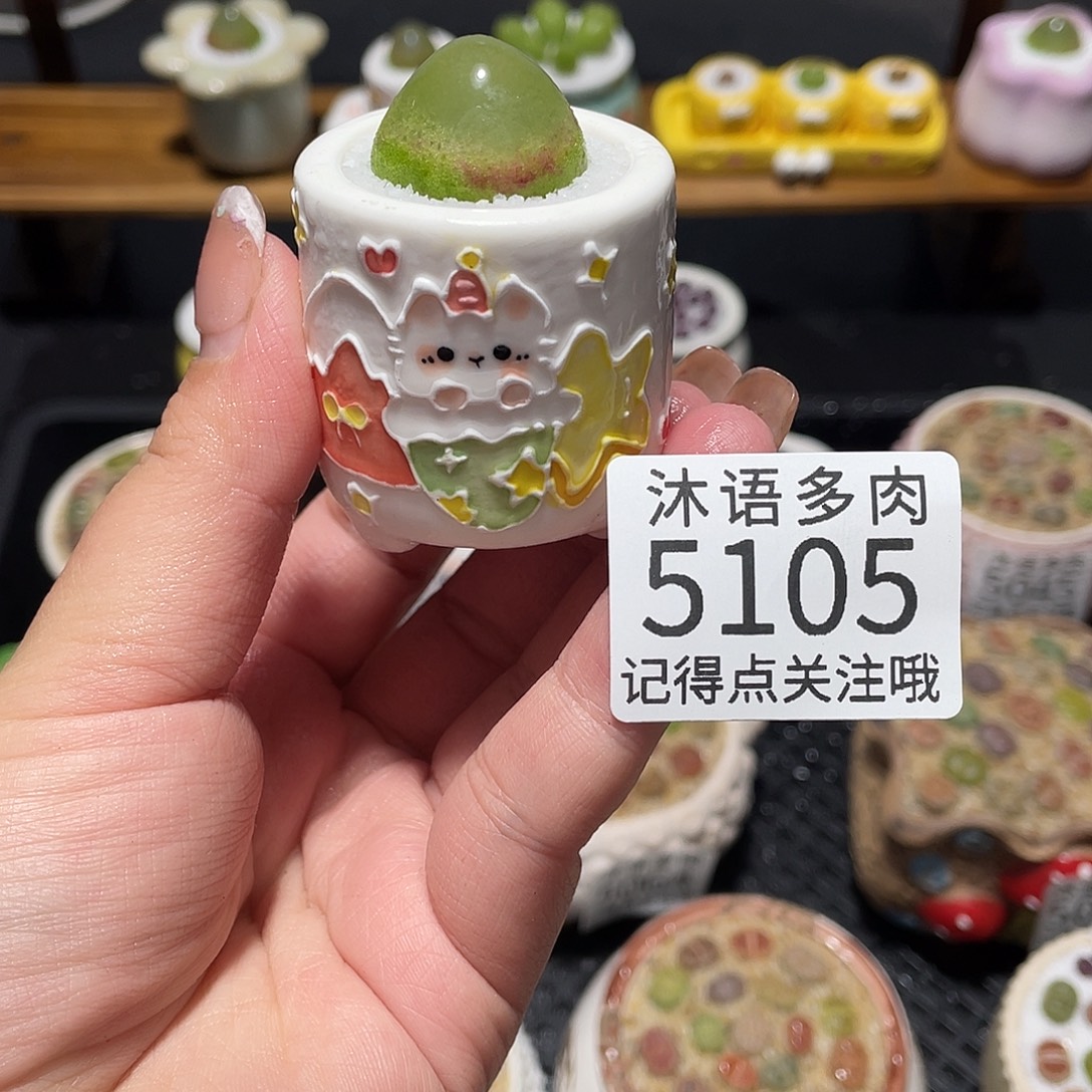 t***o带盆土植物 一物一拍5105