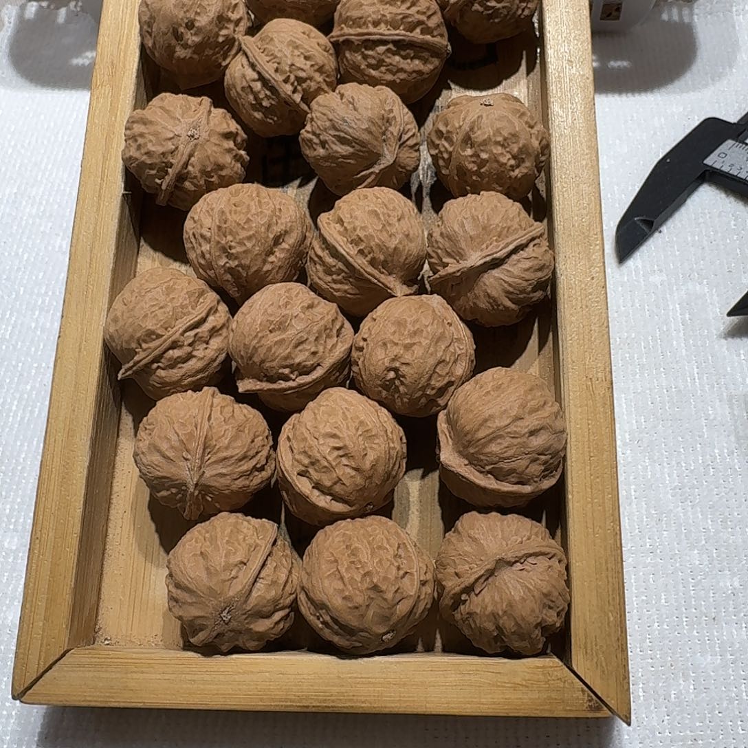 核桃手串/手链80号边25手持