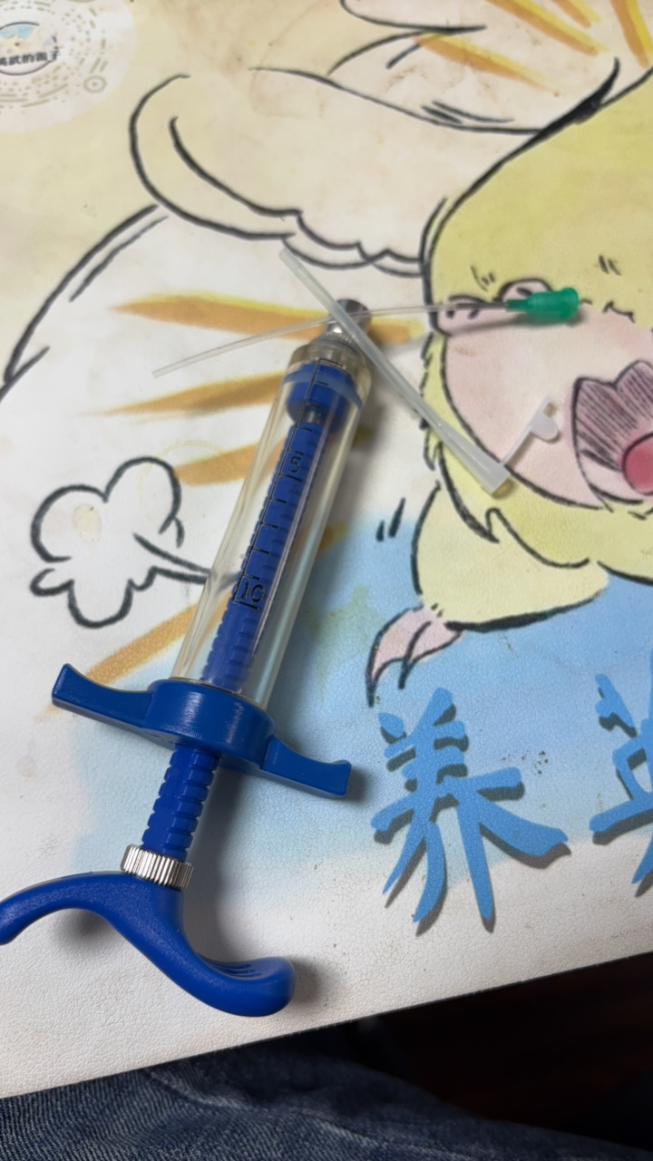 养英武的雷子零天手养鹦鹉打奶喂奶针筒乳胶管防止吞咽台湾进口