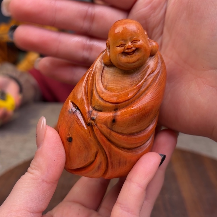 柏木（崖柏）关注一下
