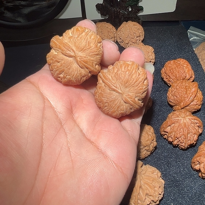 木42满肉元宝。   