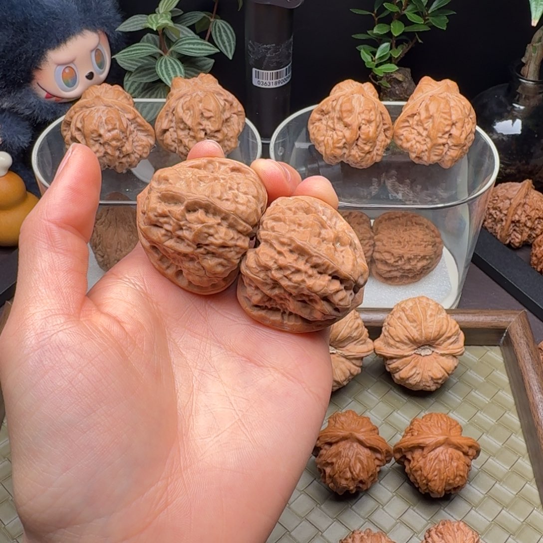 龙脊菩提把件三角蛤蟆41