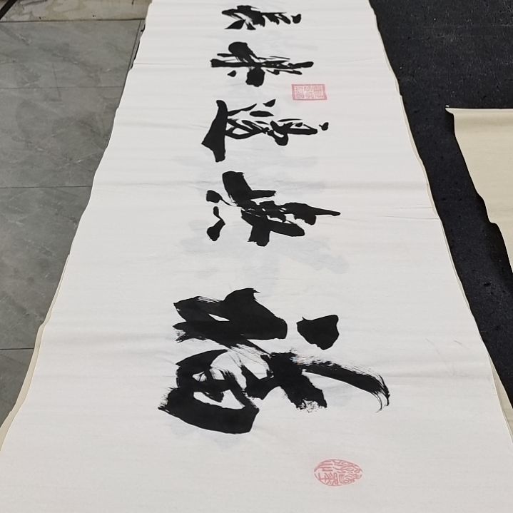 翰墨申国栋老师作品