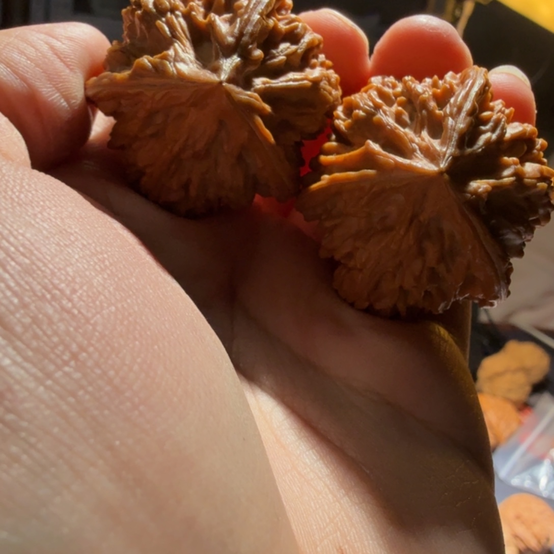 文玩核桃把件御龙正奔