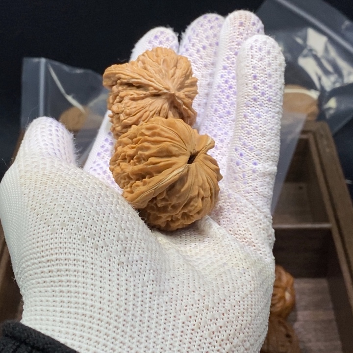 霄***阳核桃等经济林果地的