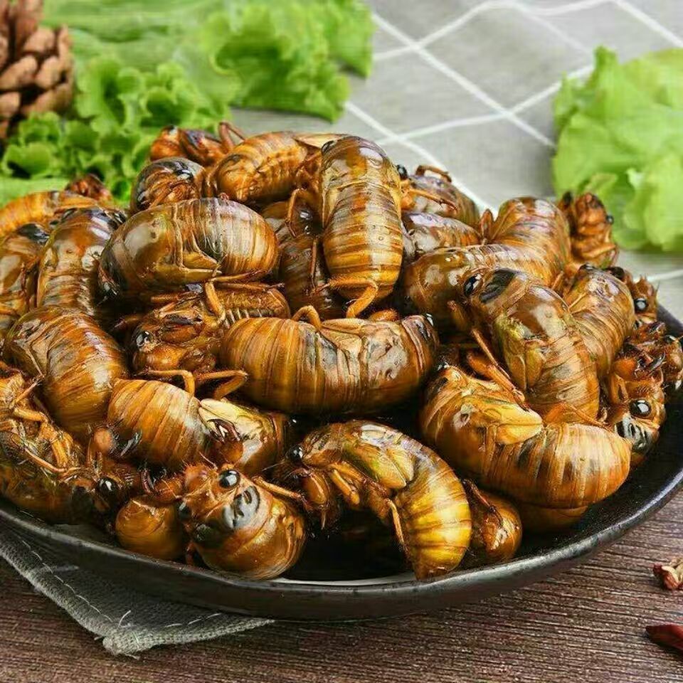 2025新货鲜知了1猴野生金1蝉趴叉猴速冻蝉蛹顺丰包邮