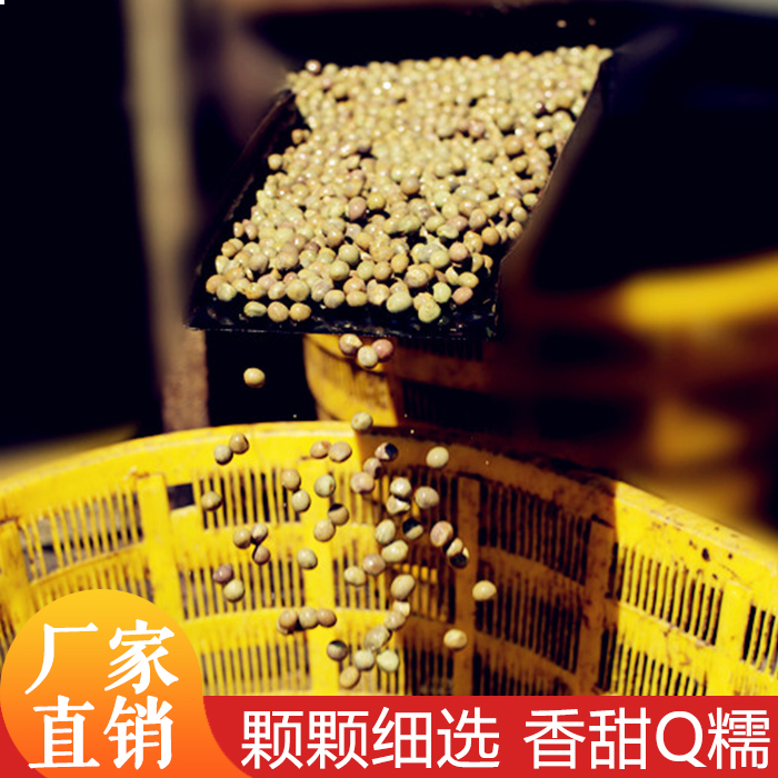 安徽霍邱特产25年新鲜带壳鸡头果芡实鸡头米打磨鲜果10mm左右包邮
