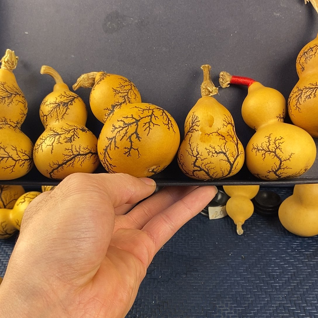 一物一拍，所见即所得