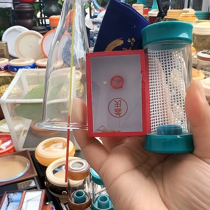 蓝色竹蛉筒套啊啊啊啊