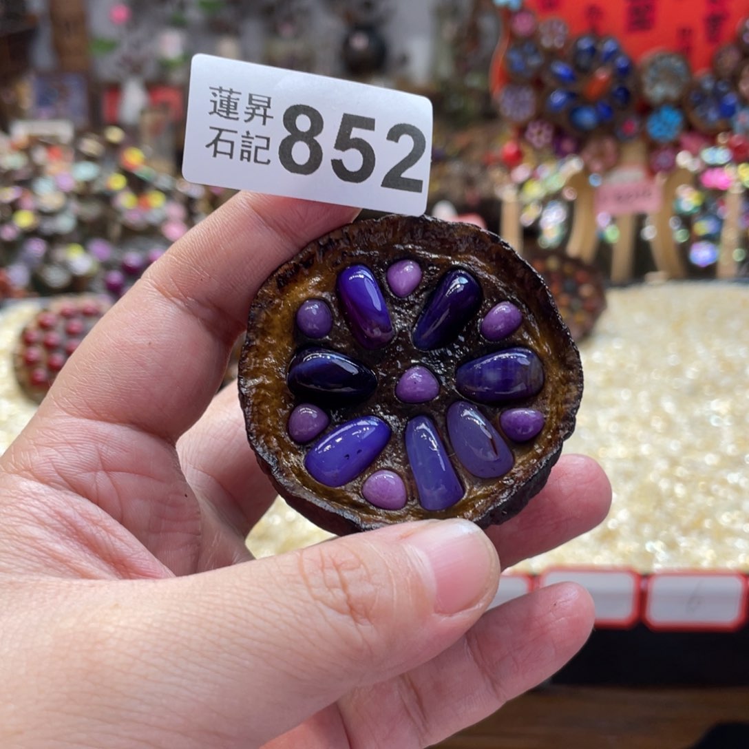 核桃木/黑胡桃（胡桃木）猫***、852