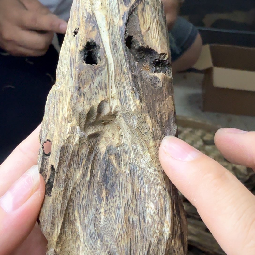 块料块料块料块料63克