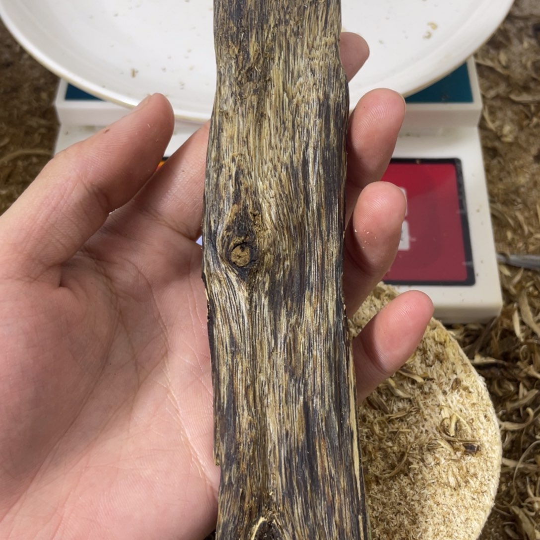 diy多样性发一香薰料乌身