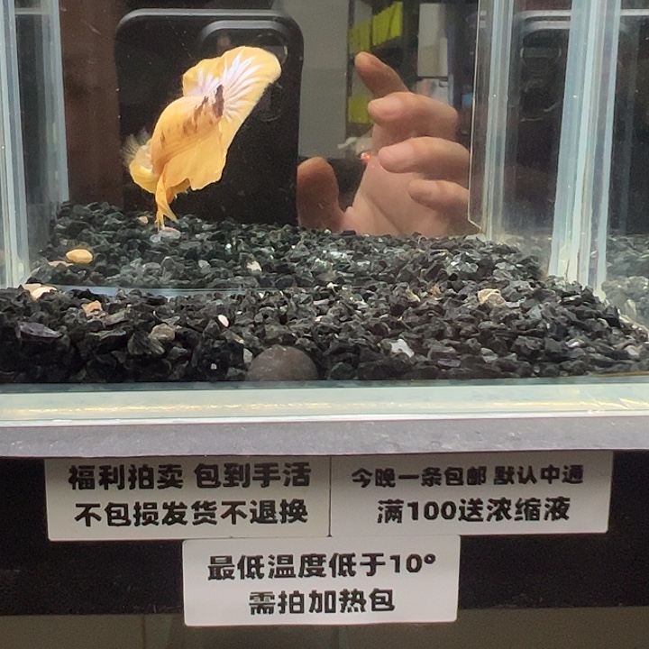 斗鱼跑单拉黑6日5