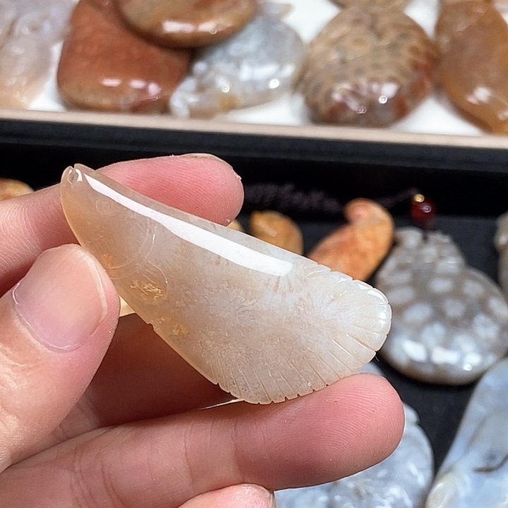 硅化珊瑚（珊瑚玉）未镶嵌颈饰