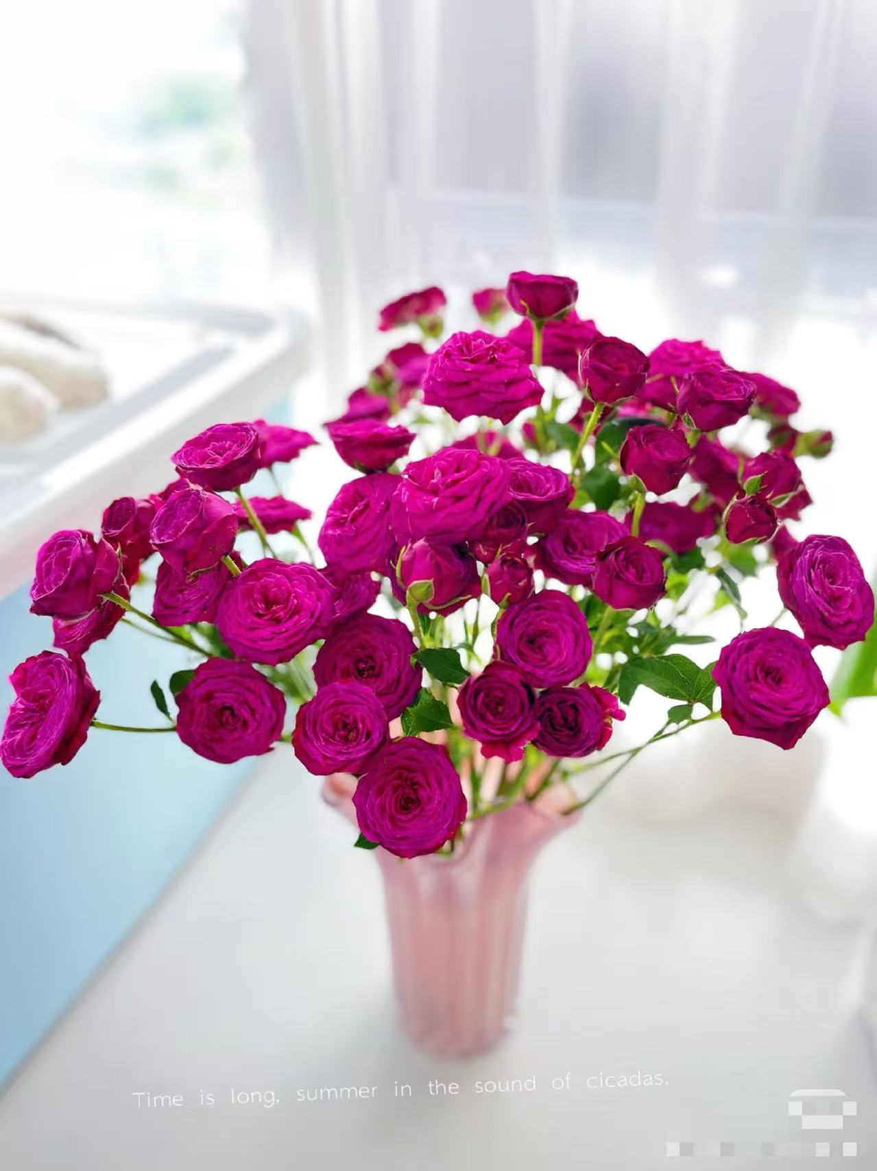 多头空气香水泡泡（香味/冷艳）