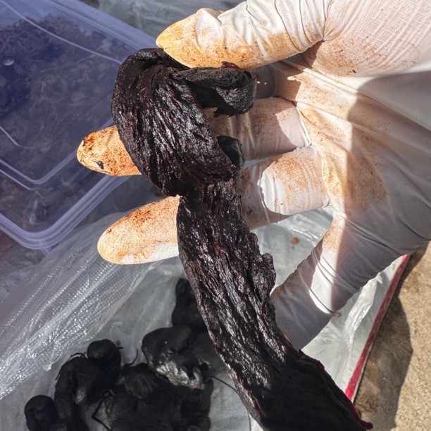 云南土特产-黄精