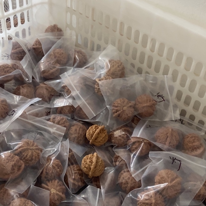 吊坠文玩核桃宫灯瑕疵