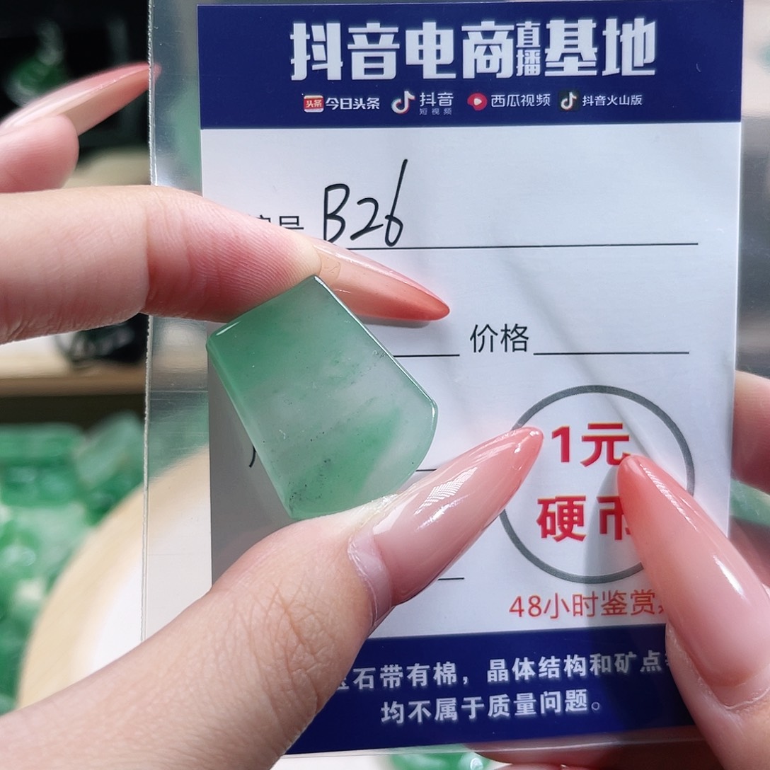 石英质玉未镶嵌颈饰