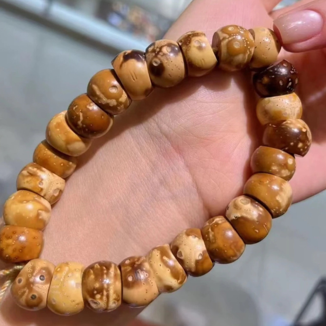 精品紫金鼠 甜甜圈