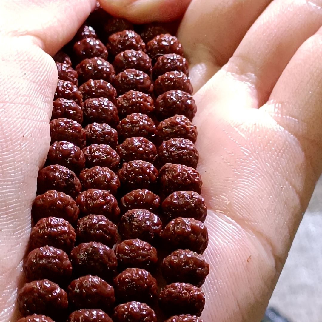 吊坠金刚菩提树王二合一7.8mm