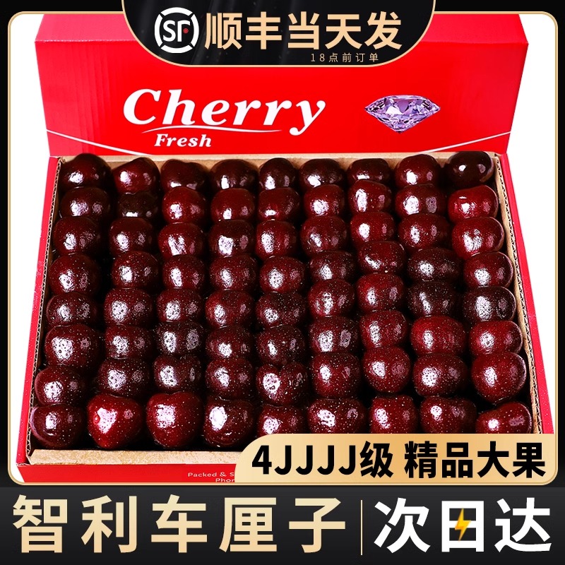 原箱5J-J智利海运桑提娜王车厘子黑钻樱桃送礼1.8斤（内附果径卡）