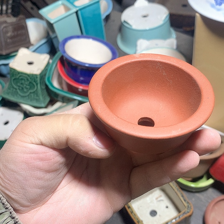 紫砂优秀奖不知道为什么就不