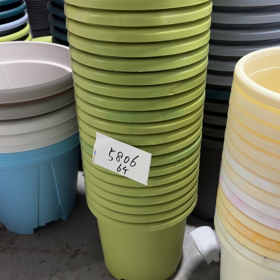 编号5806，5号串色