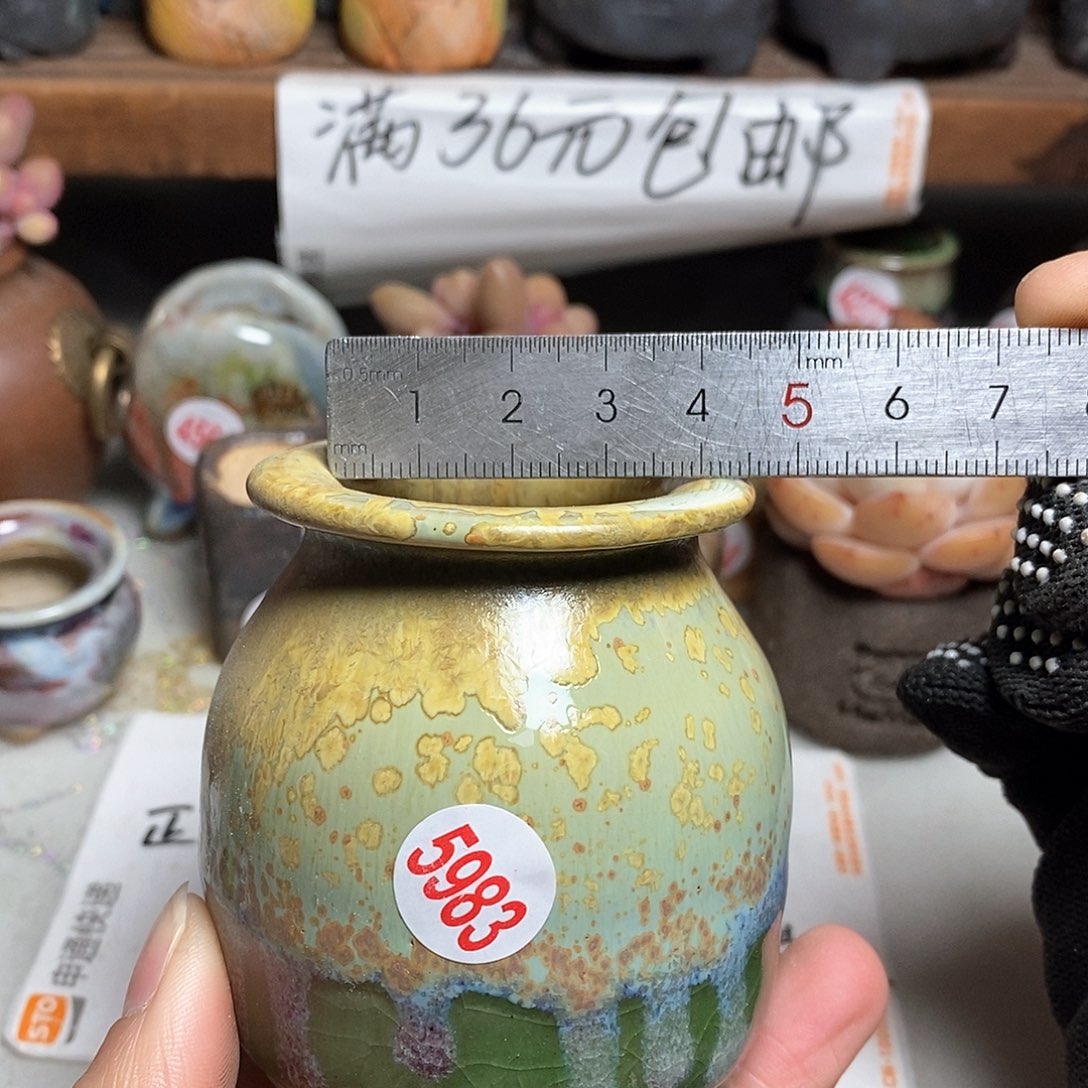 红陶拍5送一个小