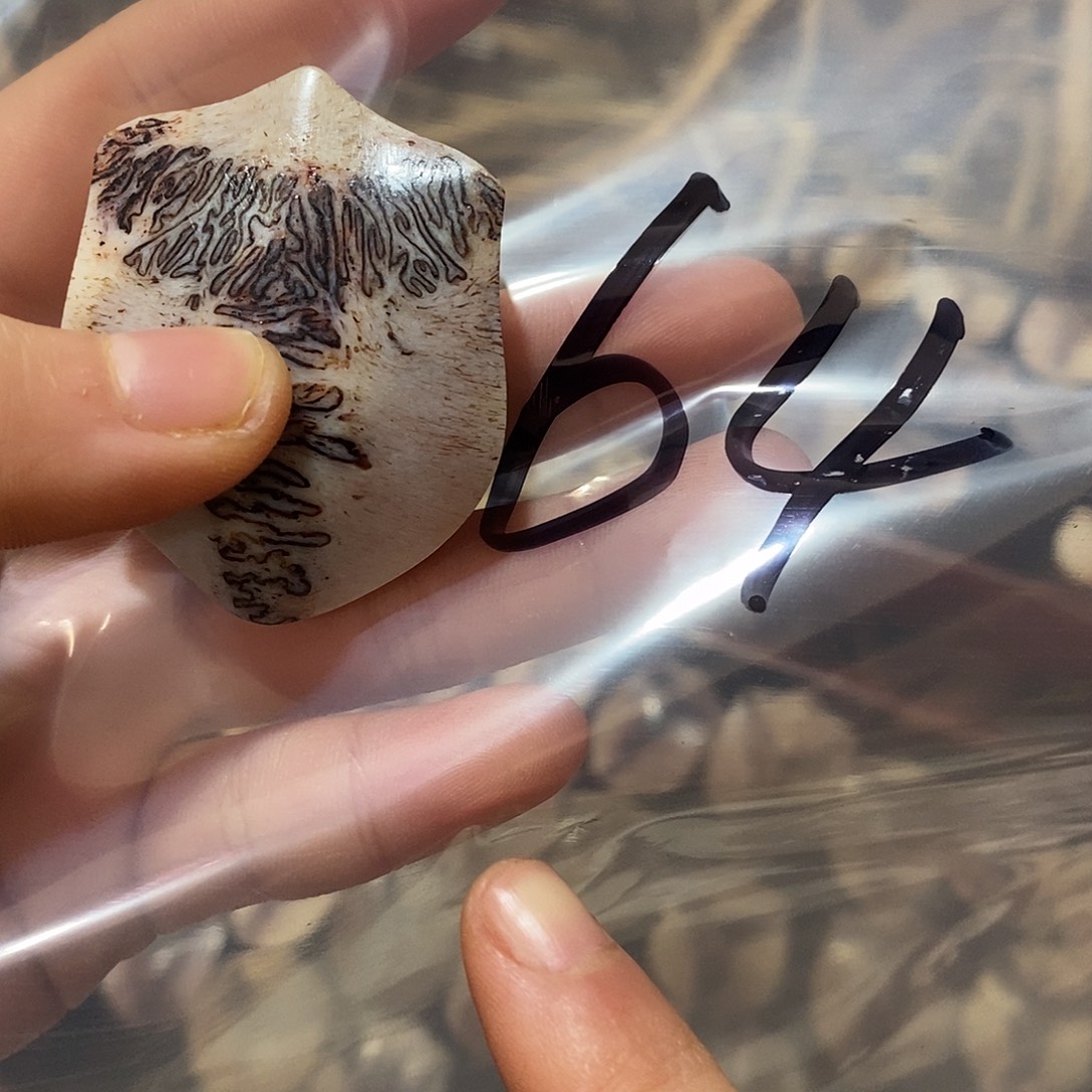 泉***士非金属三界三界三界