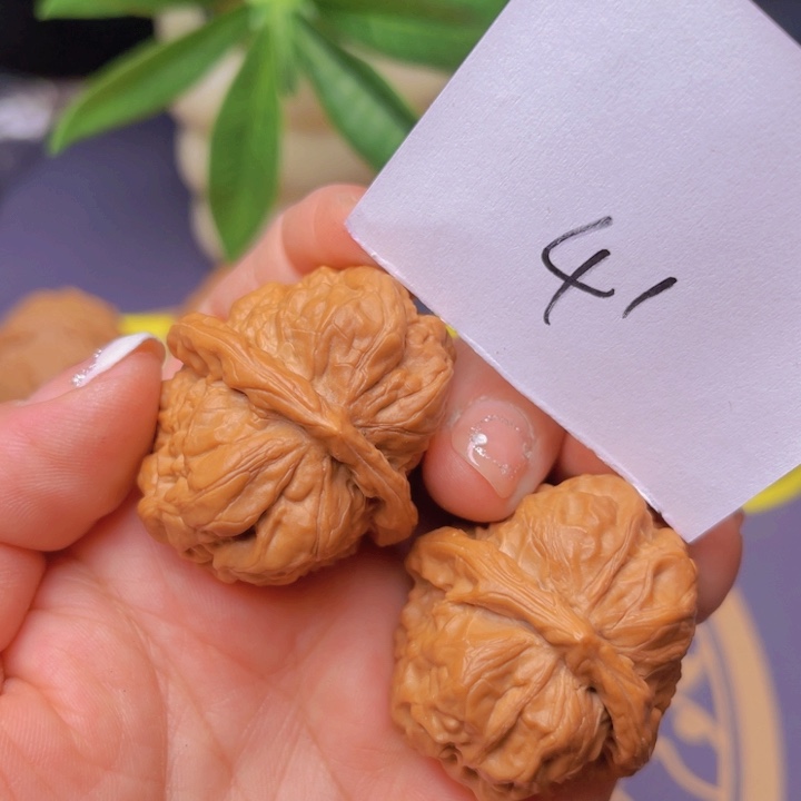 文玩核桃把件37蛤蟆头41