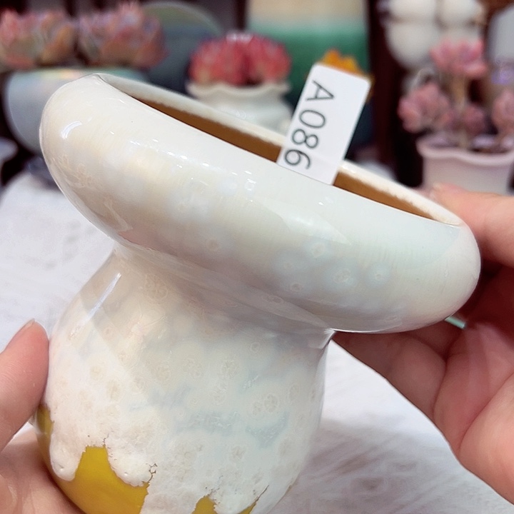 景德镇陶瓷研究所