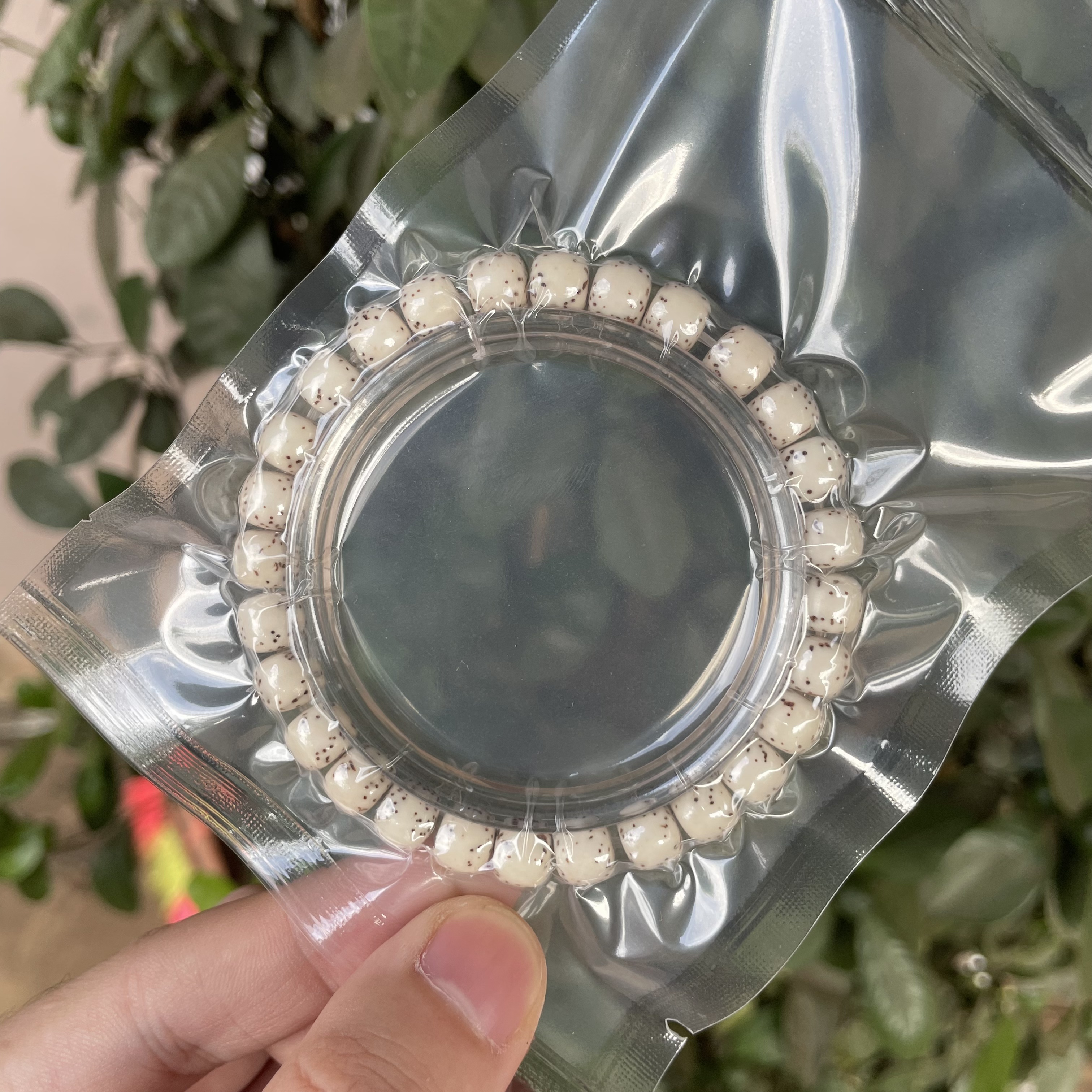 海南料星月菩提顺白8x7mm河豚