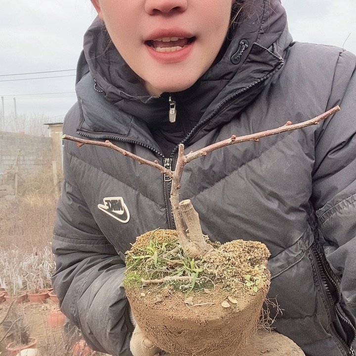 完全开放～****11111111111