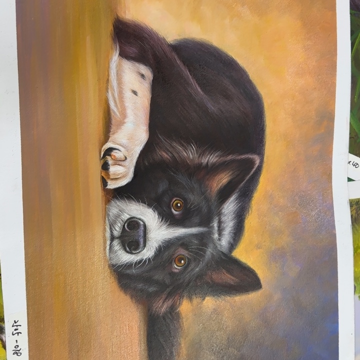 油画优惠多多指教一下自己