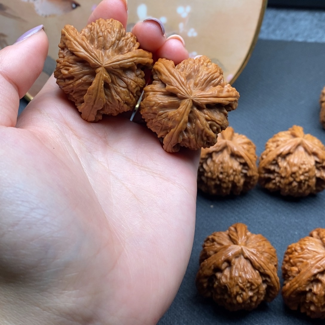 圣**生白狮子111111111