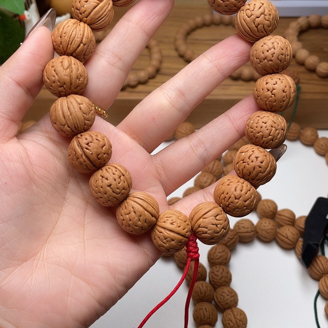 枫***红17野生灯笼滴溜圆矮2