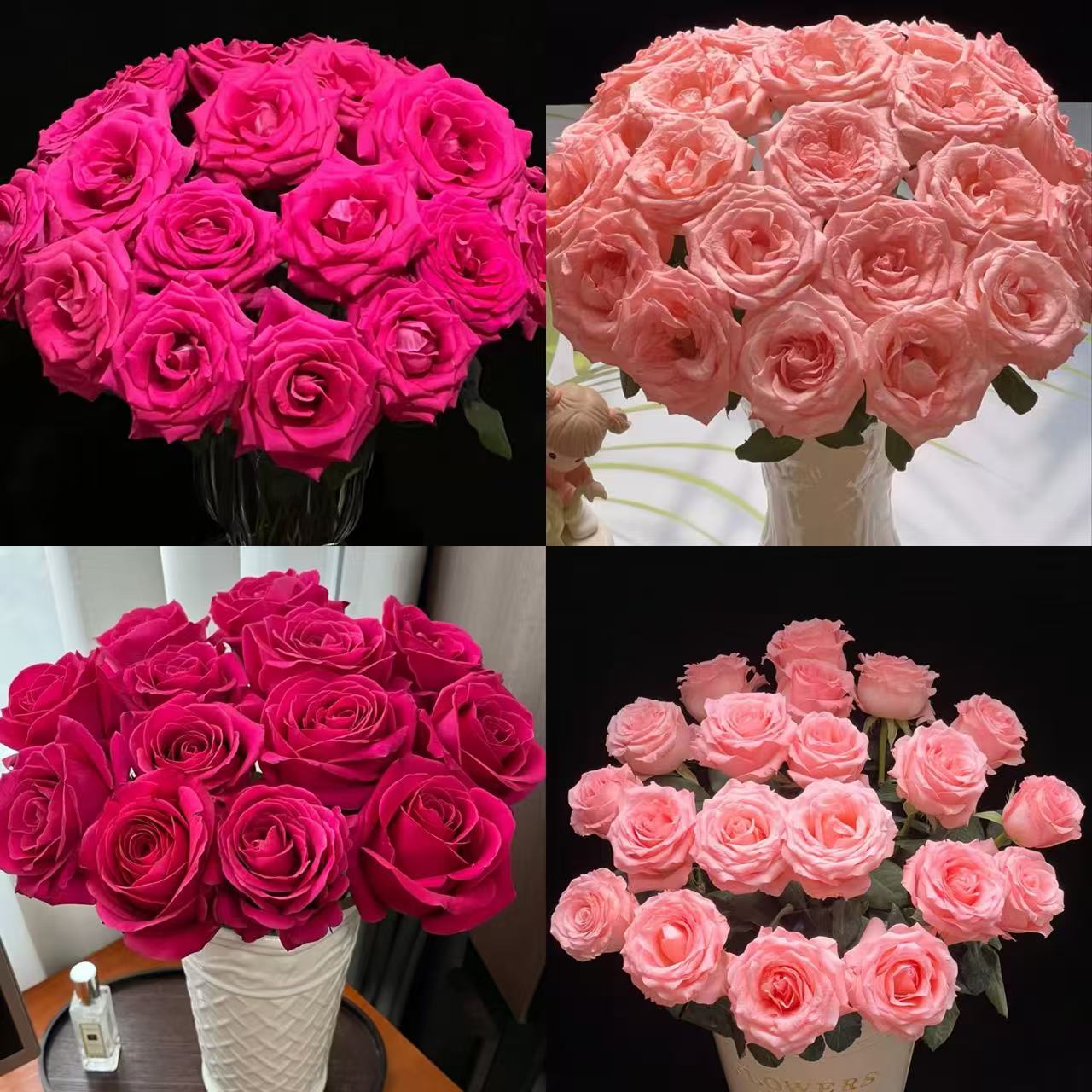 【沉沉专属】10枝弗洛伊德+10枝粉玫瑰  云南鲜切花