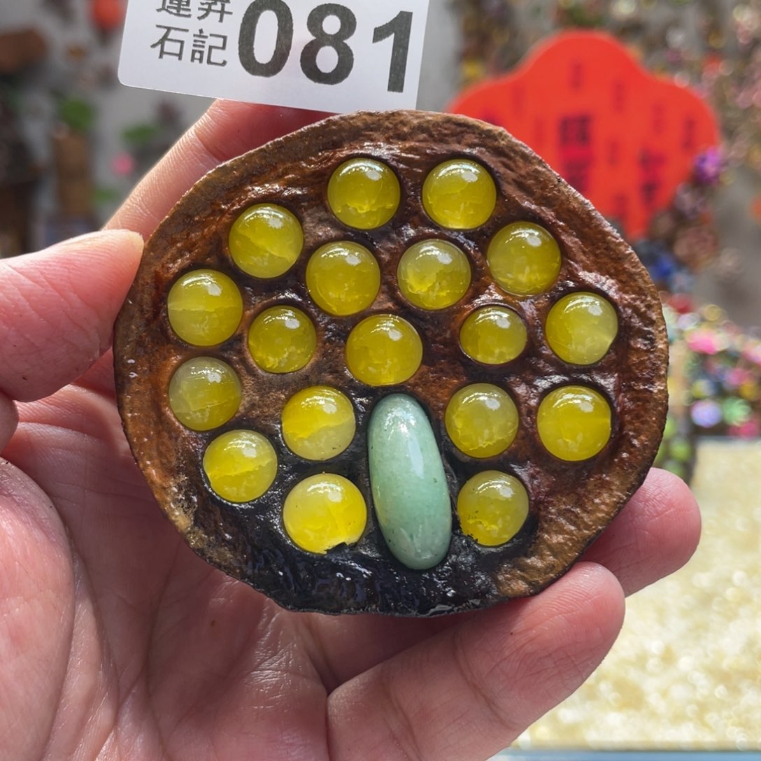 核桃木/黑胡桃（胡桃木）081柠檬树